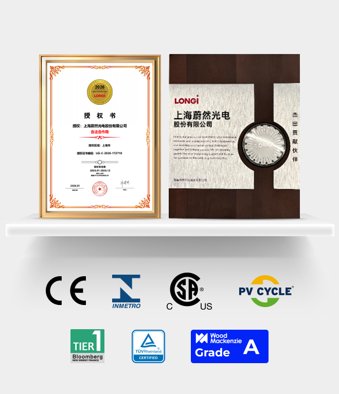 Global certificering